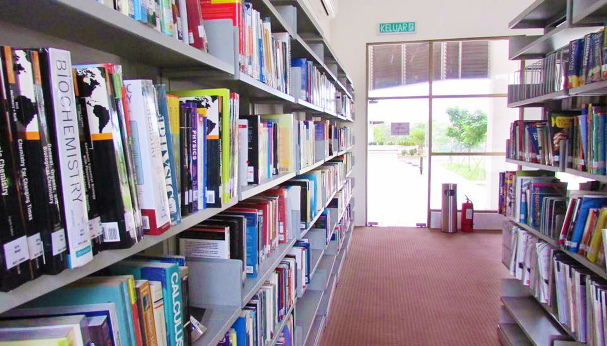 Library (books) (1).jpg